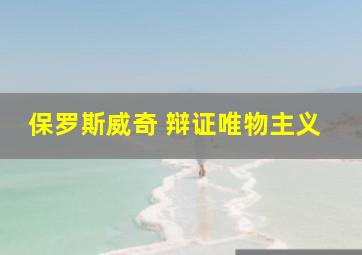 保罗斯威奇 辩证唯物主义